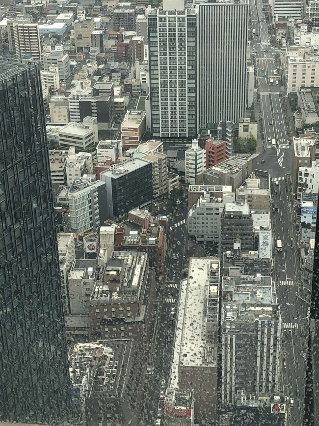 雨粒邪魔してますね。