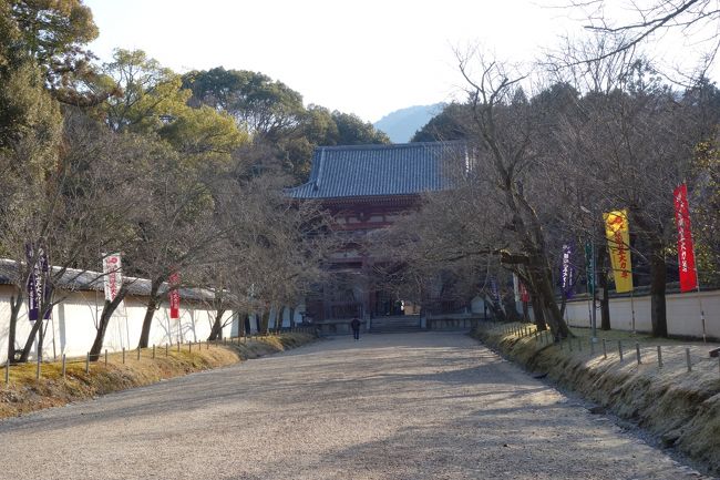京都訪問2018①（醍醐寺、萬福寺、宇治平等院）』山科(京都)の