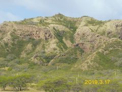 ダイヤモンドヘッドの裾野。山を見上げると、ところどころに人の歩いてるのが見えます。頂上には多くの人が登ってるのがわかります。