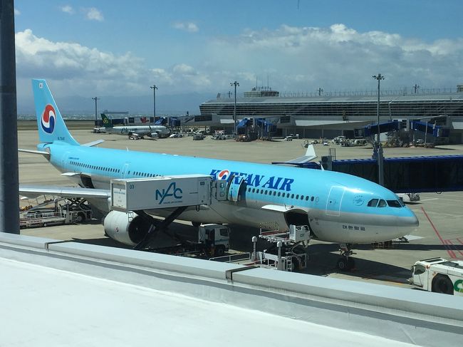 機材はソウルまでと、ソウルからもエアバスA330でした。