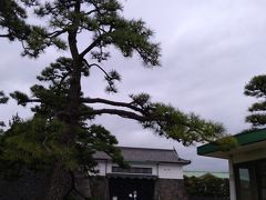 コースから少し外れ、坂下門まで来ました。