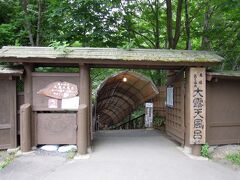 その名の通り大露天風呂で自然の中を楽しめた