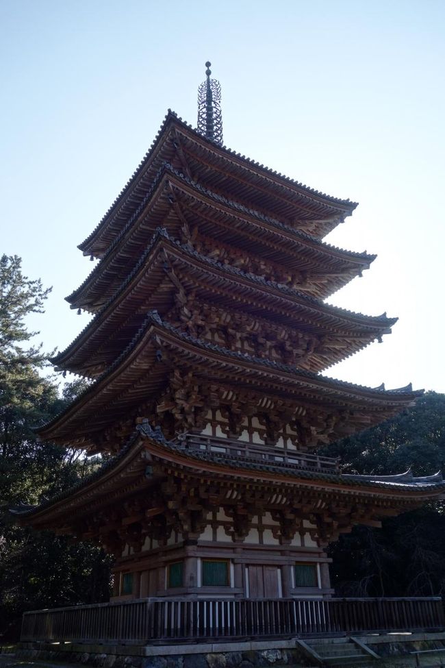 京都訪問2018①（醍醐寺、萬福寺、宇治平等院）』山科(京都)の