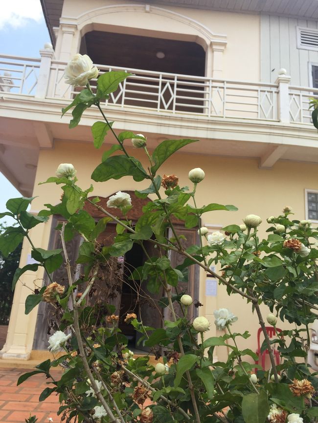 コーケーゲストハウスの外観です。