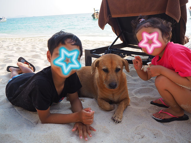 アイデリックで飼っているというワンコ。ティアと。<br /><br />8：00に約束通りボートがアイデリック前まで迎えに来てくれました。<br />