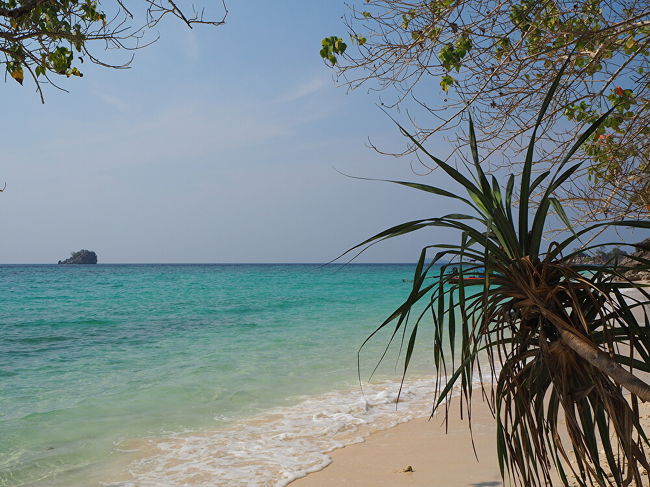 チョコが一番気に入ったビーチ<br />白砂の美しいビーチにちょうど良い波があって遊ぶのに最適<br />