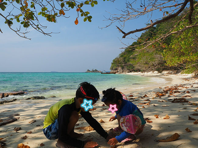 今日は、先日はなかった葉っぱがビーチに。<br />風がふいていたのかも。