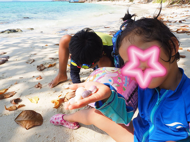 かわいい貝だよ