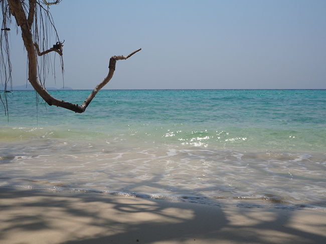 たくさん写真を撮りたくなります