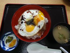 昼食の今治焼豚飯。甘めのたれでおいしい。
息子にだいぶ食べられた。こっちにすれば良かったと何度も後悔する息子。