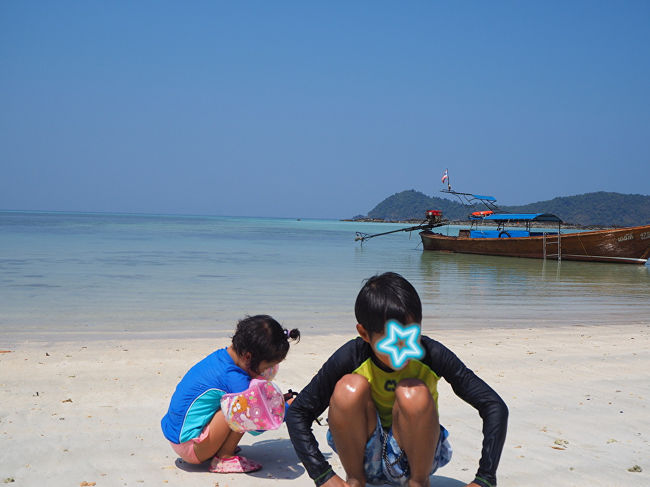 波打ち際には小さなエビやカニが。