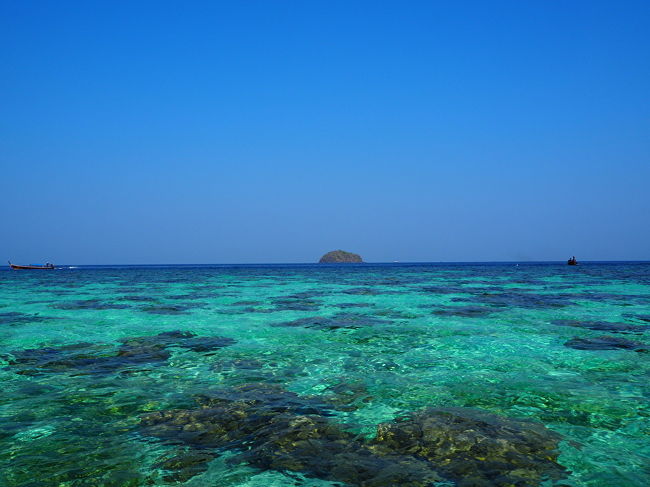 珊瑚がとてもきれい<br />