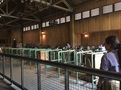 ビッグサンダーマウンテンなんて相手にならないほど面白いビッググリズリーマウンテンに搭乗。