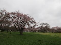 雨交じりでしたが、オニウシ公園に来て良かったです。