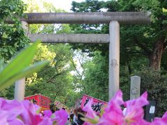 根津神社

つつじ祭りの真っ最中
