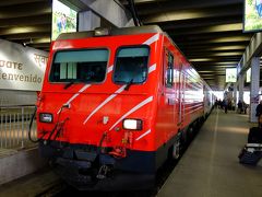 渓谷沿いにしばらく進んで行くとついにツェルマットに到着しました。ホテルにピックアップを頼んでおいたのですが、迎えにきている様子がありません。さあどうしよう。仕方がないので電話してみるしかありません。果たして言葉が通じるのか？そもそも電話をどうやってかければ良いのかも？です。