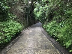 午前中はとても良い天気だったのに、バスに乗って鎌倉に来る途中から雲行きが怪しくなってきて雨が降り出しました、、、(;'∀')

家の前から鎌倉行のバスに乗って、明月院バス停で下車…
（バス停間違えた、、、もう１つ先のバス停で降りるんだったぁ～）
まぁ歩きます。運動不足だしｗ

北鎌倉から扇ガ谷へ抜ける切通し…
この道好きです♪
観光客も少なく、雨でしっとりと濡れた道はひんやりとして風情があります。
ちなみに車両通行禁止です。