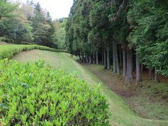 山中城岱崎出丸址