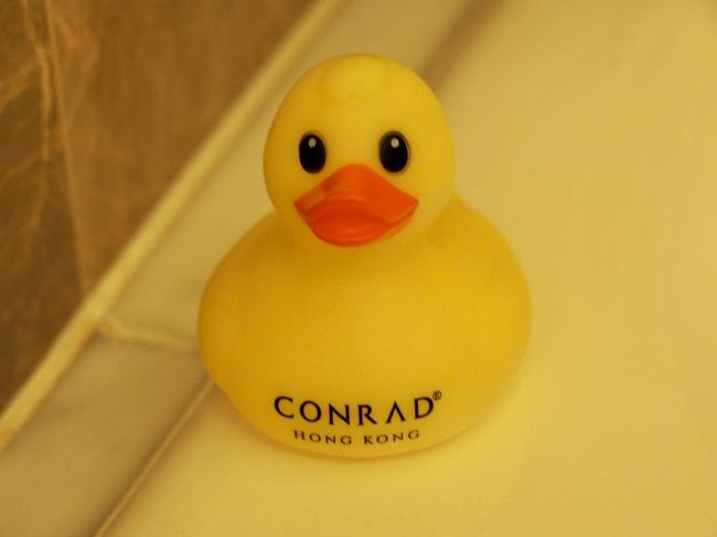 いらっしゃいました。アヒルちゃーん。<br /><br />ターンダウンの時に来るクマさんと一緒にセーシェル経由で日本へ帰ろうね。