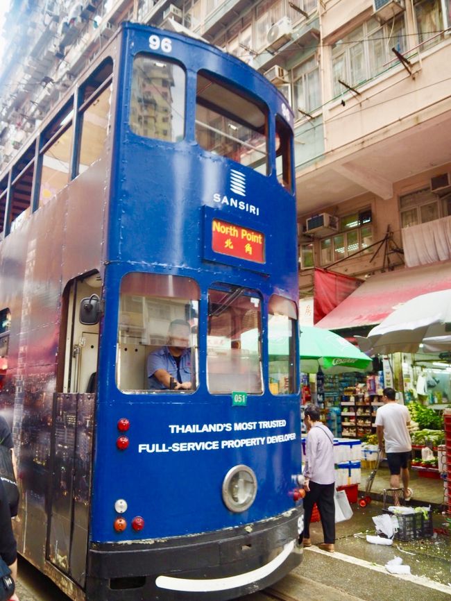 トラムも人間も気にせずマイペースで進む。<br />そして不思議と事故も起きない。<br /><br />日本ならブーーーーッって思いっきりクラクションならされる環境だわね。