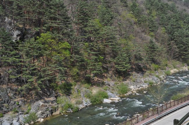 　九切里まで定期列車が走っていた時には2度訪れましたが、車窓の景色はあまり記憶に残っていません。