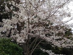 こちらの大和旅館さんの日帰り温泉にお邪魔…しようかと思ったんだけど、
まずはお腹すいたからってことでふらふら散歩がてらにご飯食べられるところを探すことに。
しかし本当に何もない。探せば探すほど無い。