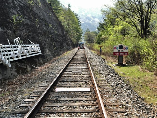 　それほど一生懸命漕がなくても進みます。