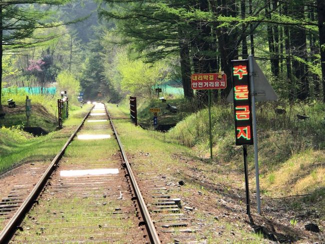 　少し下り坂になりスピードが出てきました。