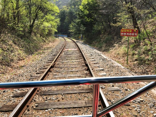 　前の人たち見えません。