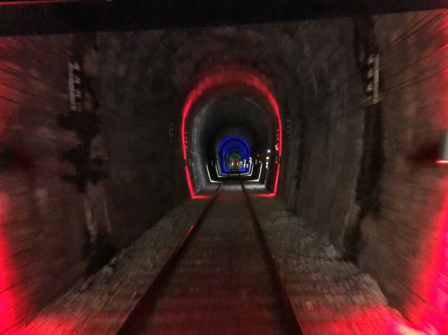 　中は涼しいです。