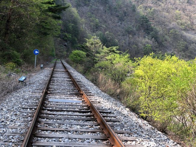 　後ろは付いてきていない。