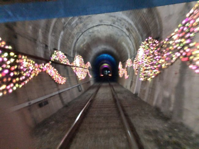 　おさかなのゾーン