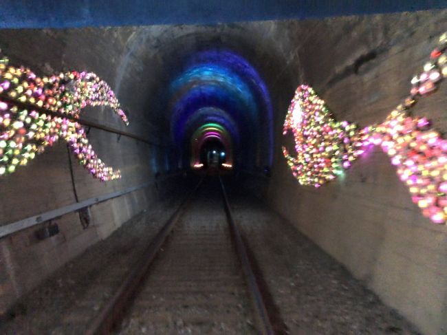 　おさかなのゾーン