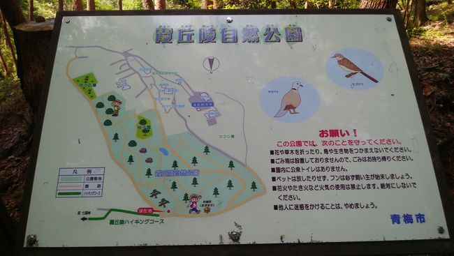 観音様の後ろは自然公園になっていて、その奥がハイキングコースになっています。