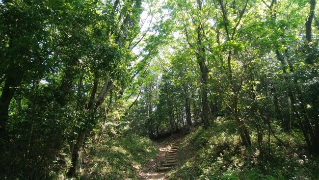 日射しの強い日は森の中はほんと気持ちいい。<br />風も程良く通って。