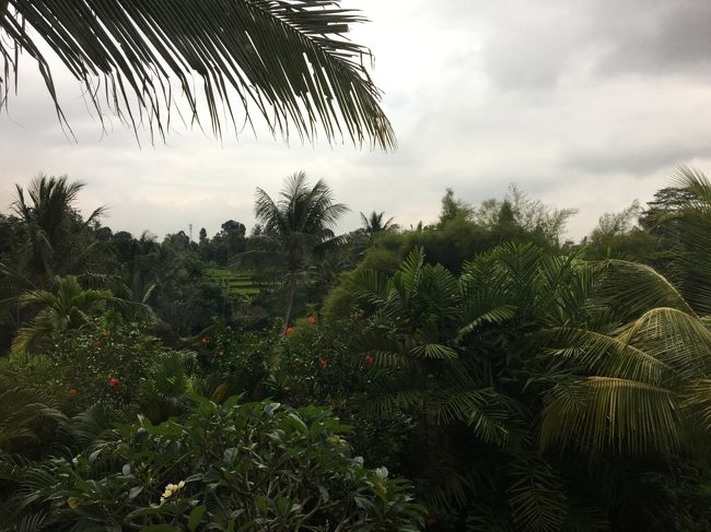 部屋からの眺めです