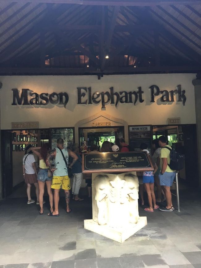 次は象に乗ります