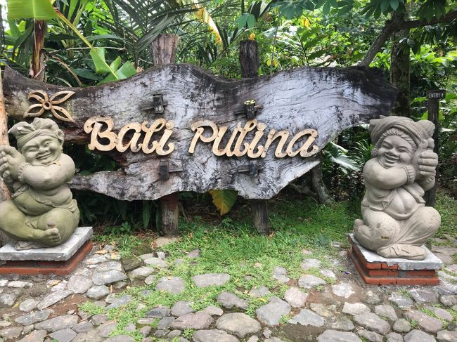 次はジャコウネコが食べたコーヒーの実から作るコーヒーが<br />頂けるショップへ。