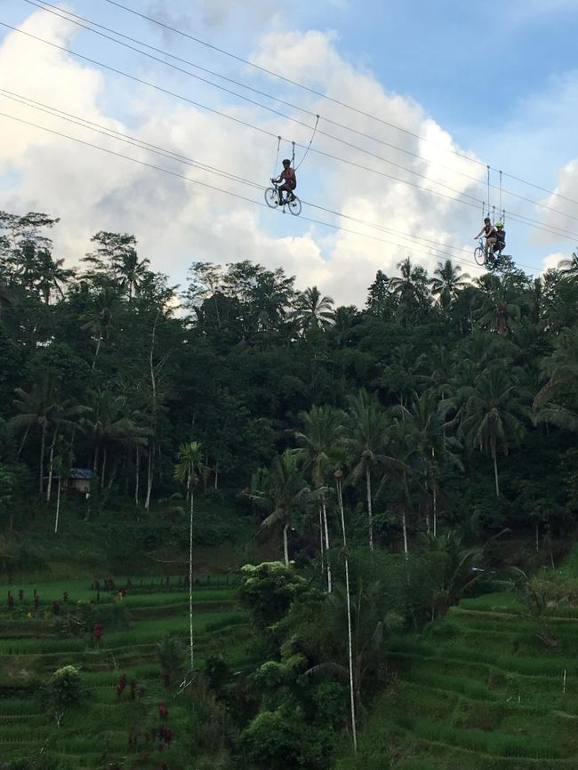 こんなアクティビティがありました（怖いので自分はトライしてませんが）