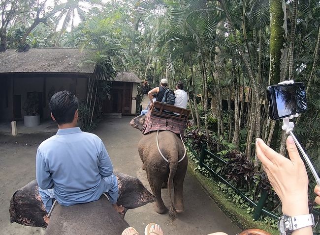 結構　揺れました。自撮り棒での撮影、難し～。<br />でも良い経験になりました