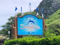 そして、シーライフ・パーク。ゆったりとした屋外水族館を巡ります。