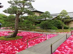 島根に入り、まずは、中海に浮かぶ「由志園」へ。牡丹が咲き乱れる庭園です。