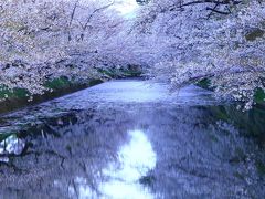 3日目　4月29日　4：50　弘前公園/弘前城跡

4時起床。
日本さくら名所100選
染井吉野を中心に50種2600本の桜。


駐車場　1000円