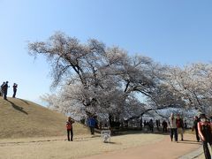 八代ふるさと公園