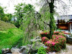 主計町緑水苑は、桜には遅すぎ、ツツジには早すぎ・・・。残念（＞＜）