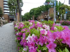 東京大学広報センター (旧医師会事務局)