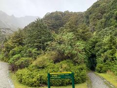 この森の中に入っていきます。
完全に濡れないわけではないけど、
少しは雨除けになります。