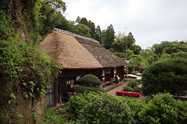 『茂原散策・・上総の民家の里山に大輪の牡丹が咲き競う、茂原牡丹園を訪ねます。』茂原(千葉県)の旅行記・ブログ by YAMAJIさん【フォートラベル】