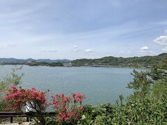 さすが11連休、東名高速の渋滞激しく、浜名湖SAまで2時間近くかかりました。