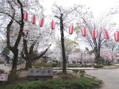 そして、程よくアルコールが回ったところで再びお花見。
近くの高崎公園に行ってみました。